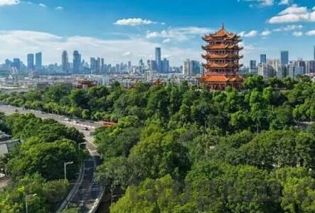 糖心app旧版本下载-糖心app旧版本回忆录，时代的印记与下载探索